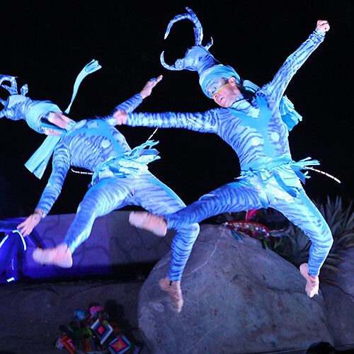 Wirikuta Experience Performers